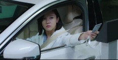 《赖猫的狮子倒影》全集网盘完整版 百度网盘链接